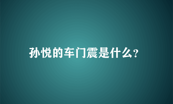 孙悦的车门震是什么？