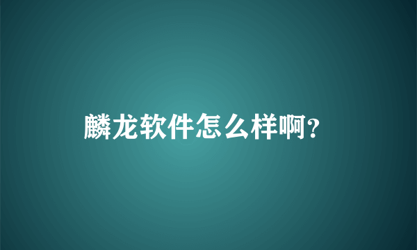 麟龙软件怎么样啊？