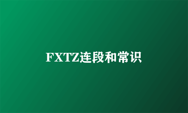 FXTZ连段和常识