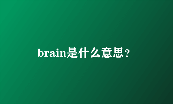 brain是什么意思？