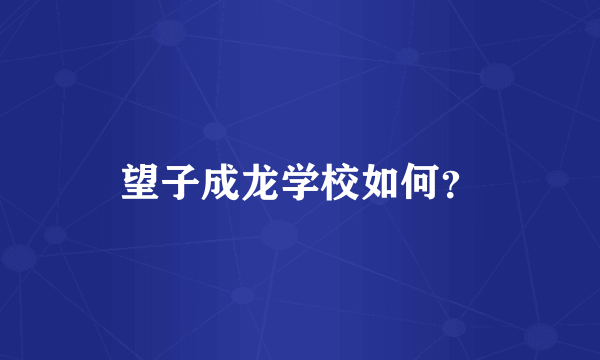 望子成龙学校如何？